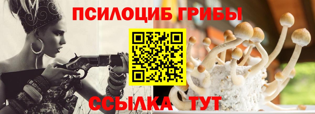 Новокуйбышевск  закладка  Вход с VPN  Псилоцибиновые грибы прущие грибы 
